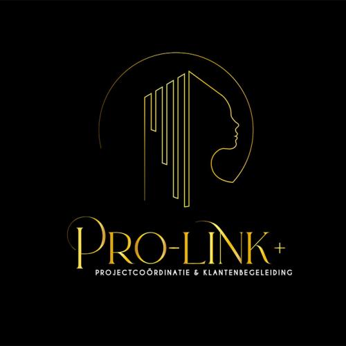 Pro-Link +